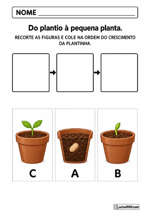 Cartões com semente na terra, broto e planta com duas folhas para montar a sequência de crescimento