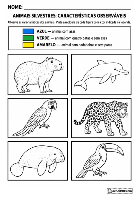 Figuras de seis animais silvestres para colorir as molduras conforme asas, quatro patas ou nadadeiras