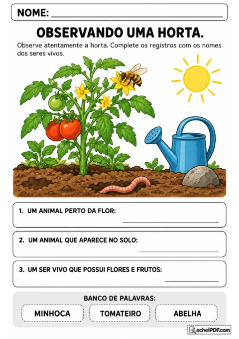 Horta ilustrada com tomateiro, abelha e minhoca para completar registros de observação dos seres vivos