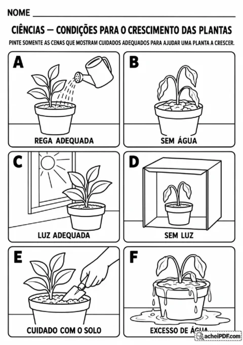 Atividade de Ciências para pintar cenas de cuidados adequados com água, luz e solo das plantas
