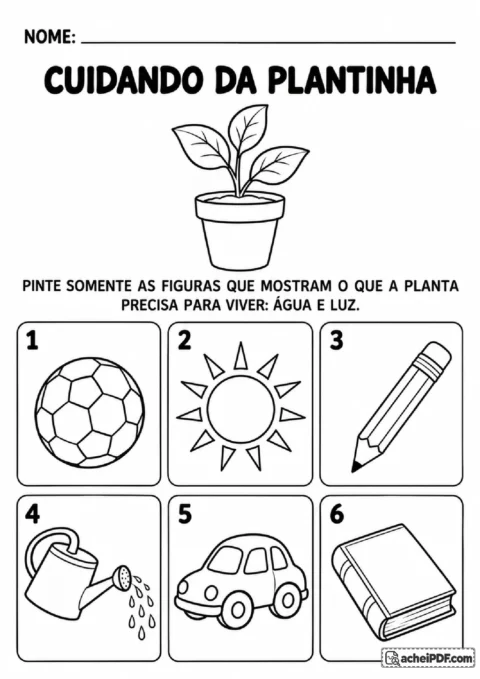 Folha de pintura seletiva sobre os cuidados com as plantas, com figuras de sol, regador e objetos diversos.