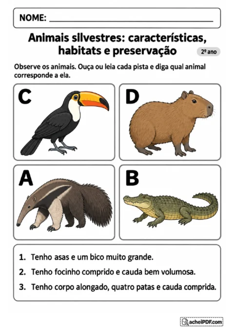 Cartões de tamanduá-bandeira, jacaré, tucano e capivara para identificar animais a partir de pistas