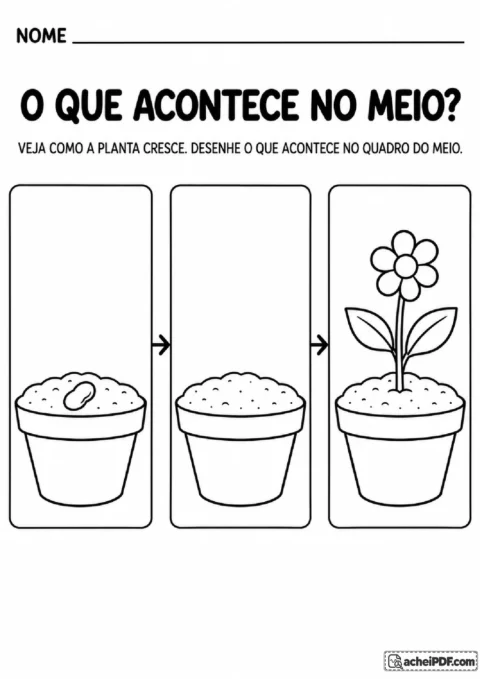 Sequência de crescimento de uma planta com espaço para desenhar um broto entre a semente e a flor