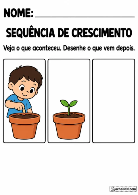 Sequência ilustrada de semente e broto com espaço para desenhar uma planta com flor