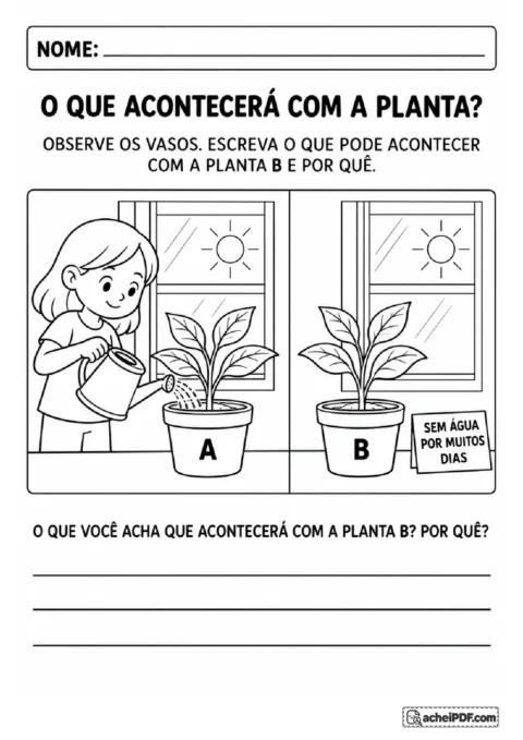 Dois vasos com plantas inicialmente saudáveis para escrever uma previsão sobre a falta de água por vários dias