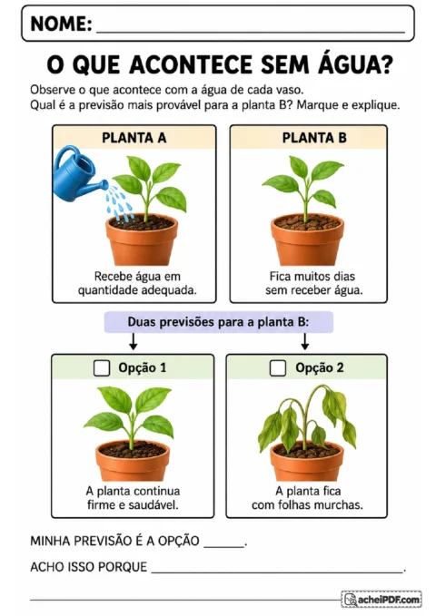 Comparação entre duas mudas com diferentes condições de água para prever o que acontece com a planta