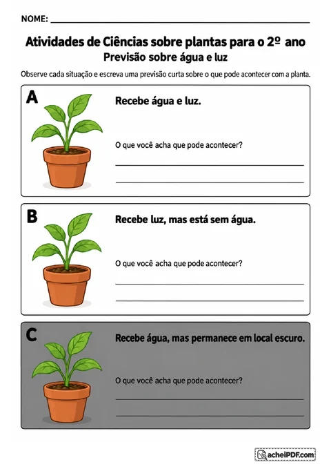 Três vasos com diferentes condições de água e luz para escrever previsões sobre as plantas