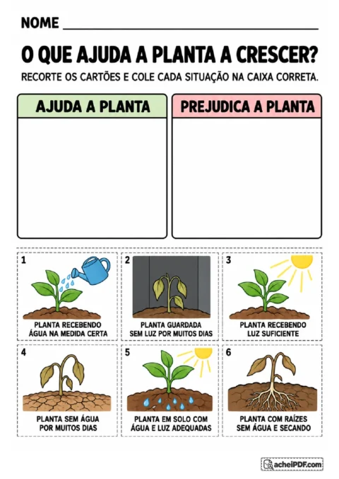 Cartões recortáveis com situações de água e luz para colar nos grupos que ajudam ou prejudicam as plantas
