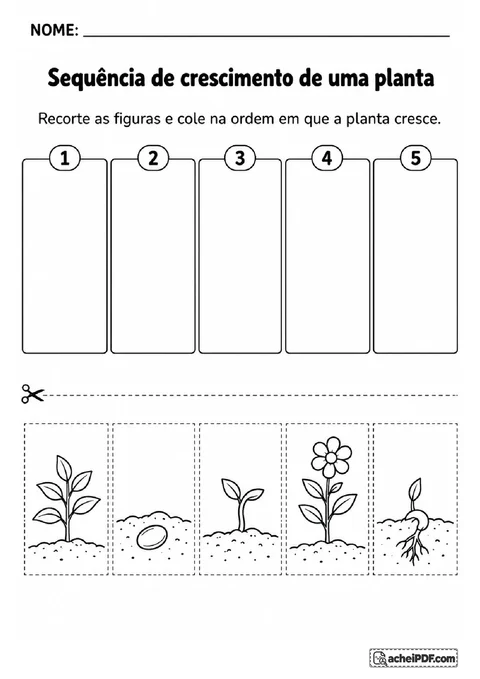 Cinco figuras para recortar e colar na ordem do crescimento de uma planta, da semente até a flor