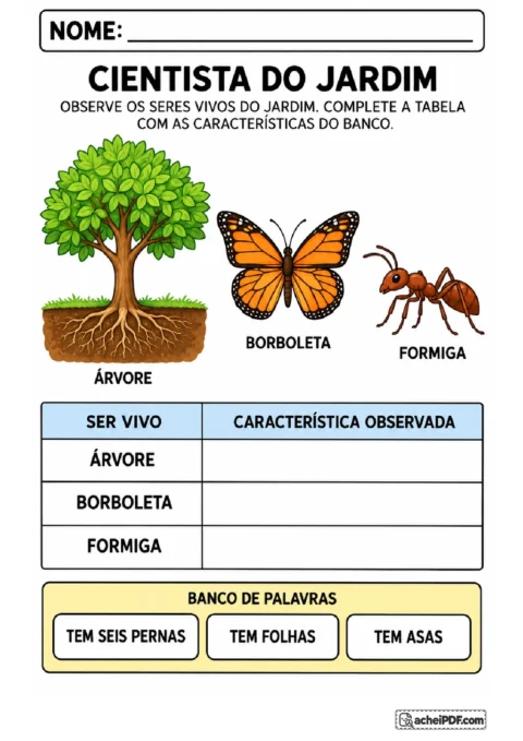 Árvore, borboleta e formiga ilustradas para completar tabela com folhas, asas e seis pernas