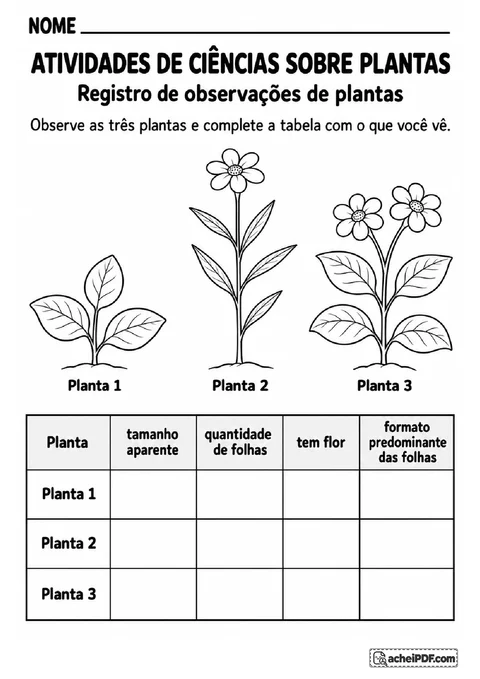 Tabela de observação de três plantas para registrar tamanho, quantidade de folhas e presença de flores