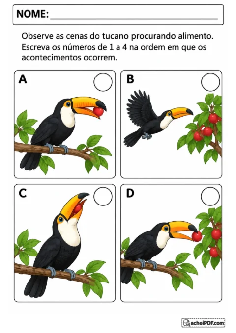 Quatro cenas embaralhadas de um tucano procurando e comendo um fruto para numerar a sequência dos acontecimentos