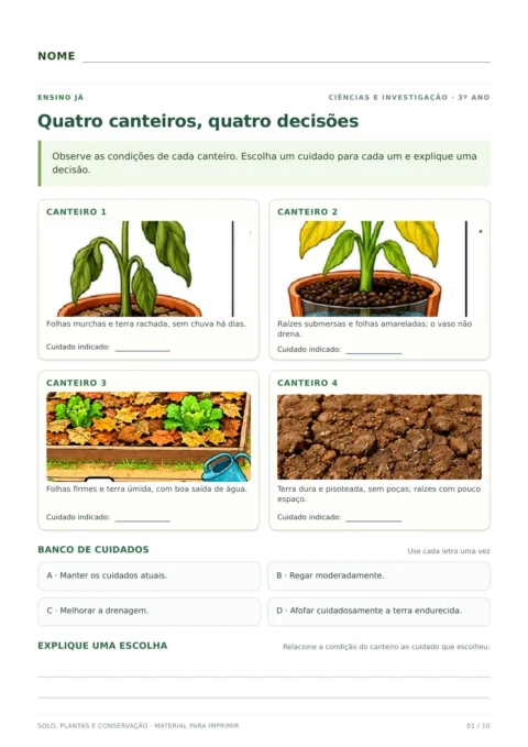 Diagnóstico das condições de quatro canteiros. Atividade de Ciências do 3º ano para imprimir.