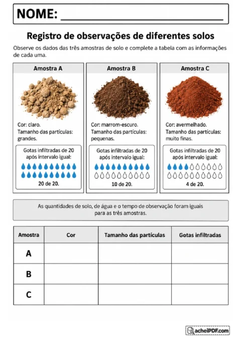 Fichas de três amostras de solo para completar tabela de cor, partículas e gotas infiltradas