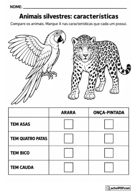 Tabela para marcar X e comparar asas, patas, bico e cauda de uma arara e uma onça-pintada
