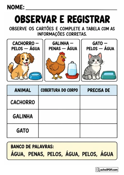 Cartões de cachorro, galinha e gato para completar tabela sobre cobertura corporal e necessidade de água