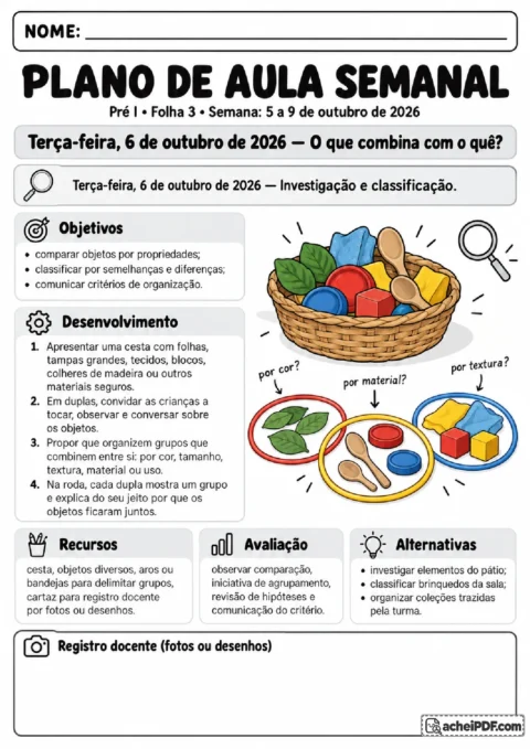 Terça-feira com cesta investigativa para comparar e classificar objetos por características perceptíveis.