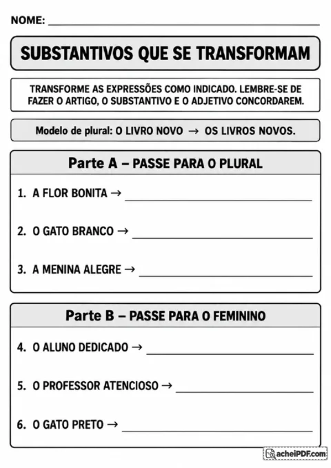 Folha de transformação de expressões para o plural e feminino com concordância de artigos e adjetivos