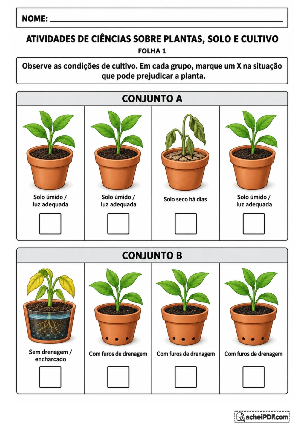 Atividades sobre Solo e Cultivo de Plantas para o 3º ano